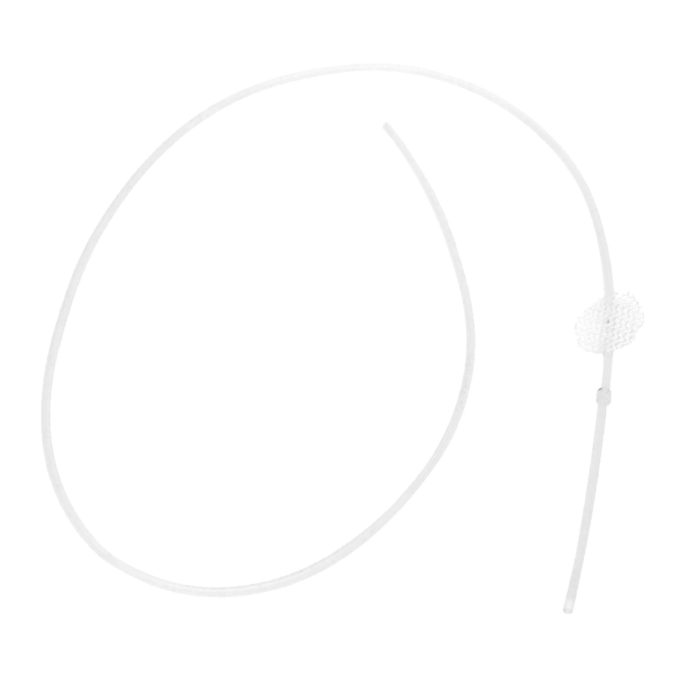 Primate Duodenal Catheter