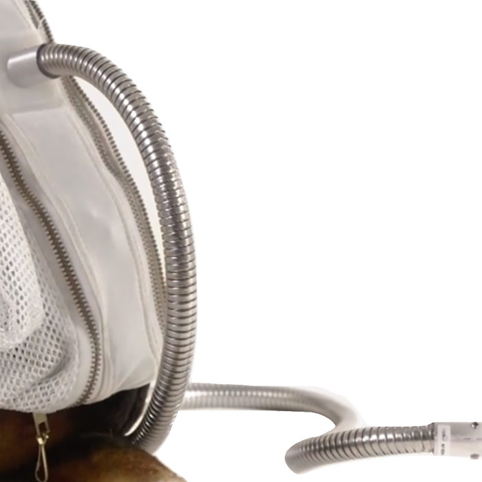Large Animal Tether with Flex Coil