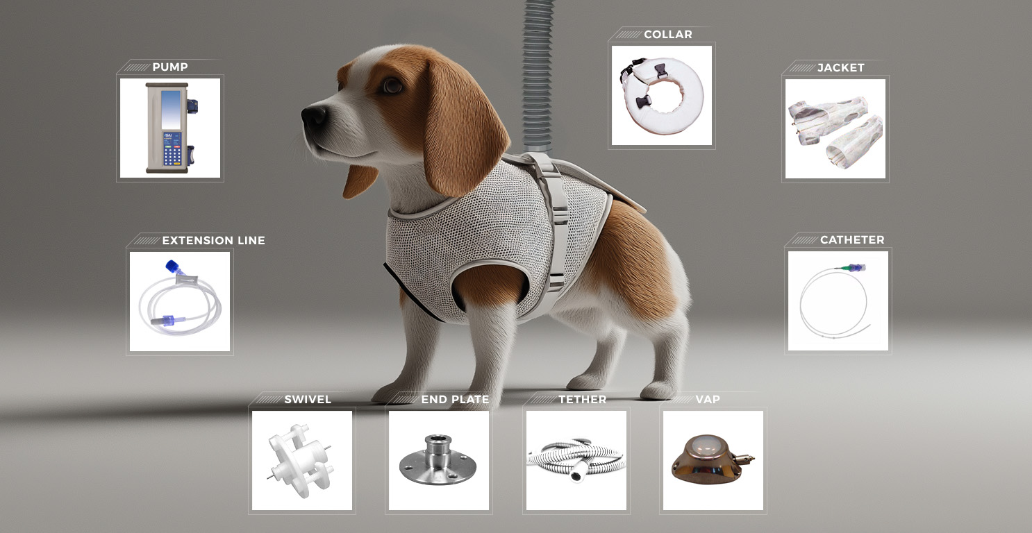 dog_tether_system_2